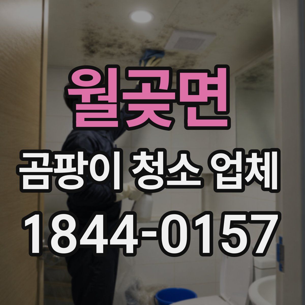 월곶면 곰팡이 청소 업체