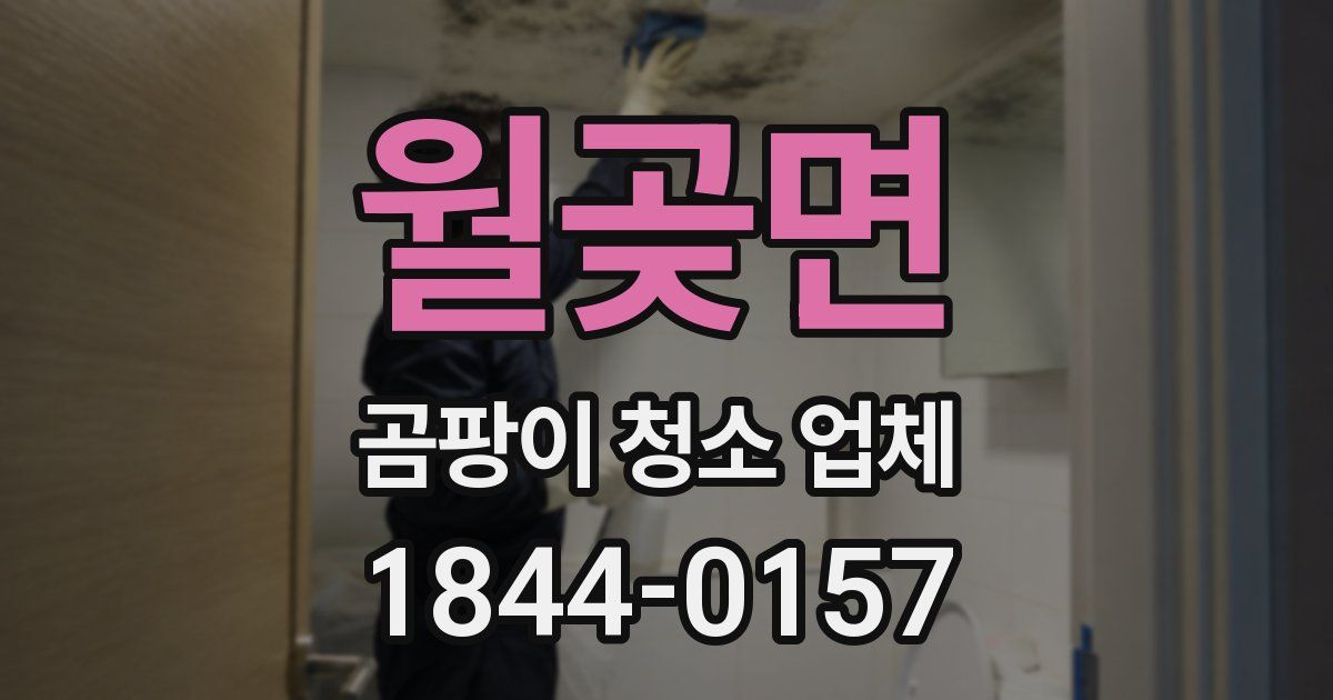 월곶면 곰팡이 청소 업체