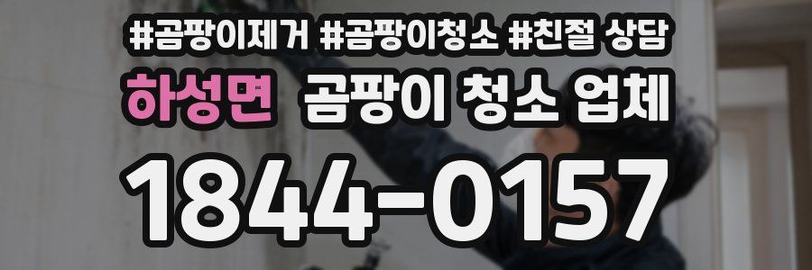 하성면 곰팡이 청소 업체