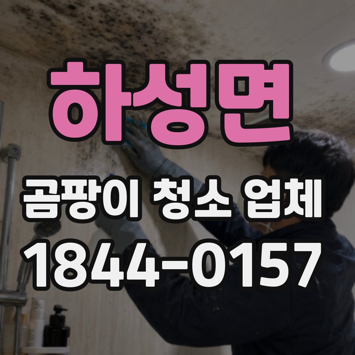 하성면 곰팡이 청소 업체