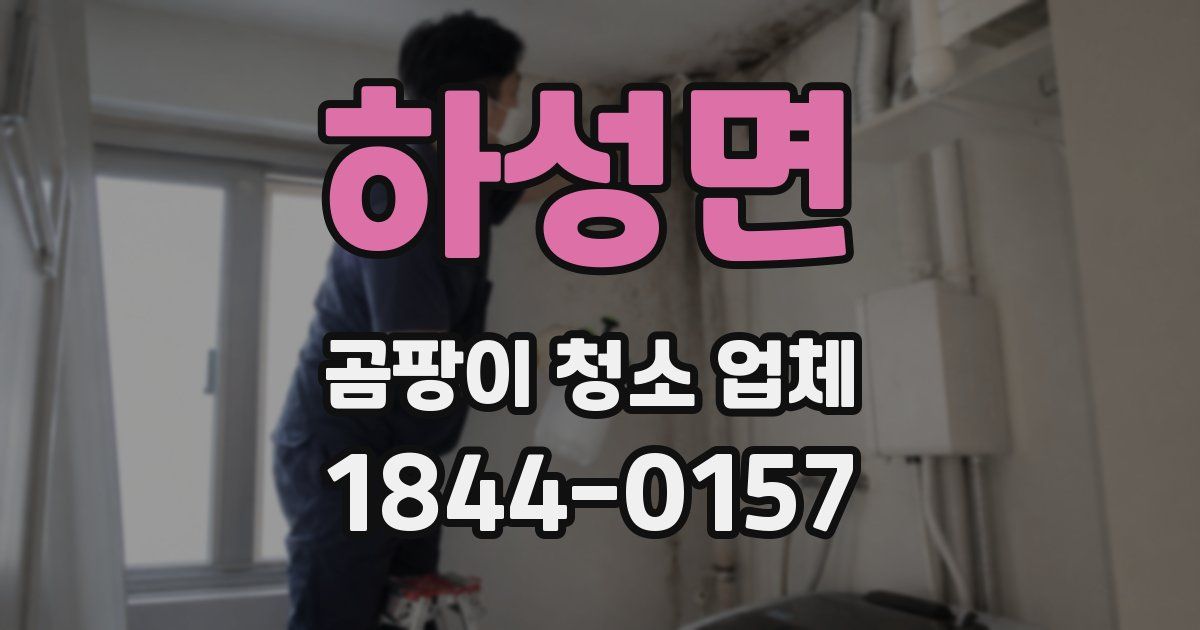 하성면 곰팡이 청소 업체