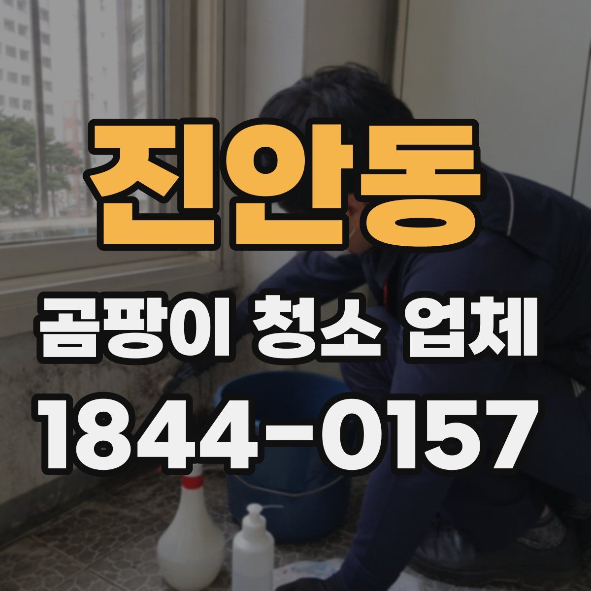 진안동 곰팡이 청소 업체