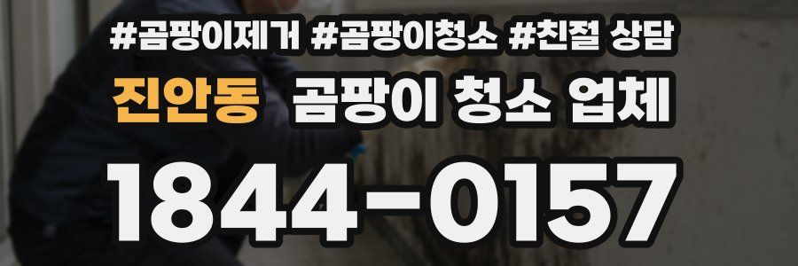 진안동 곰팡이 청소 업체