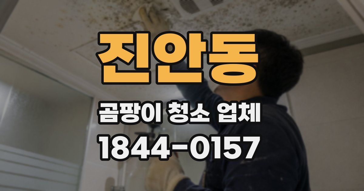 진안동 곰팡이 청소 업체