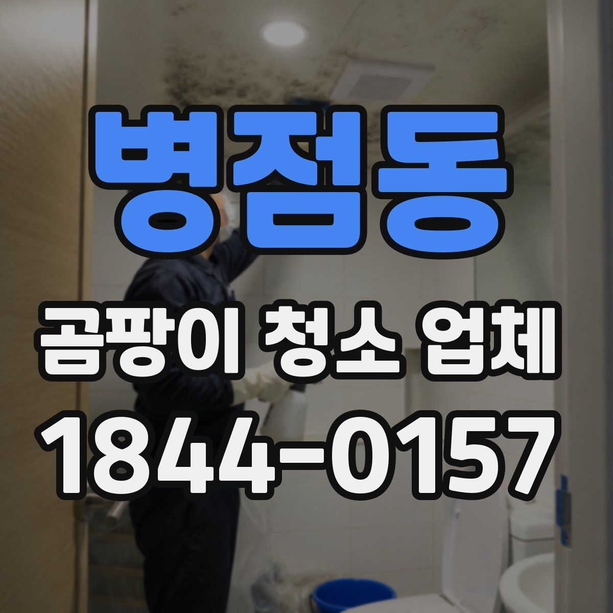 병점동 곰팡이 청소 업체