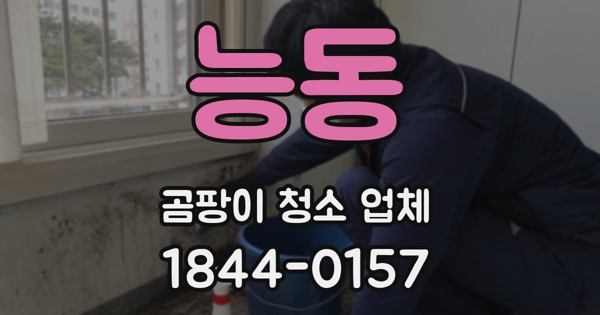 능동 곰팡이 청소 업체
