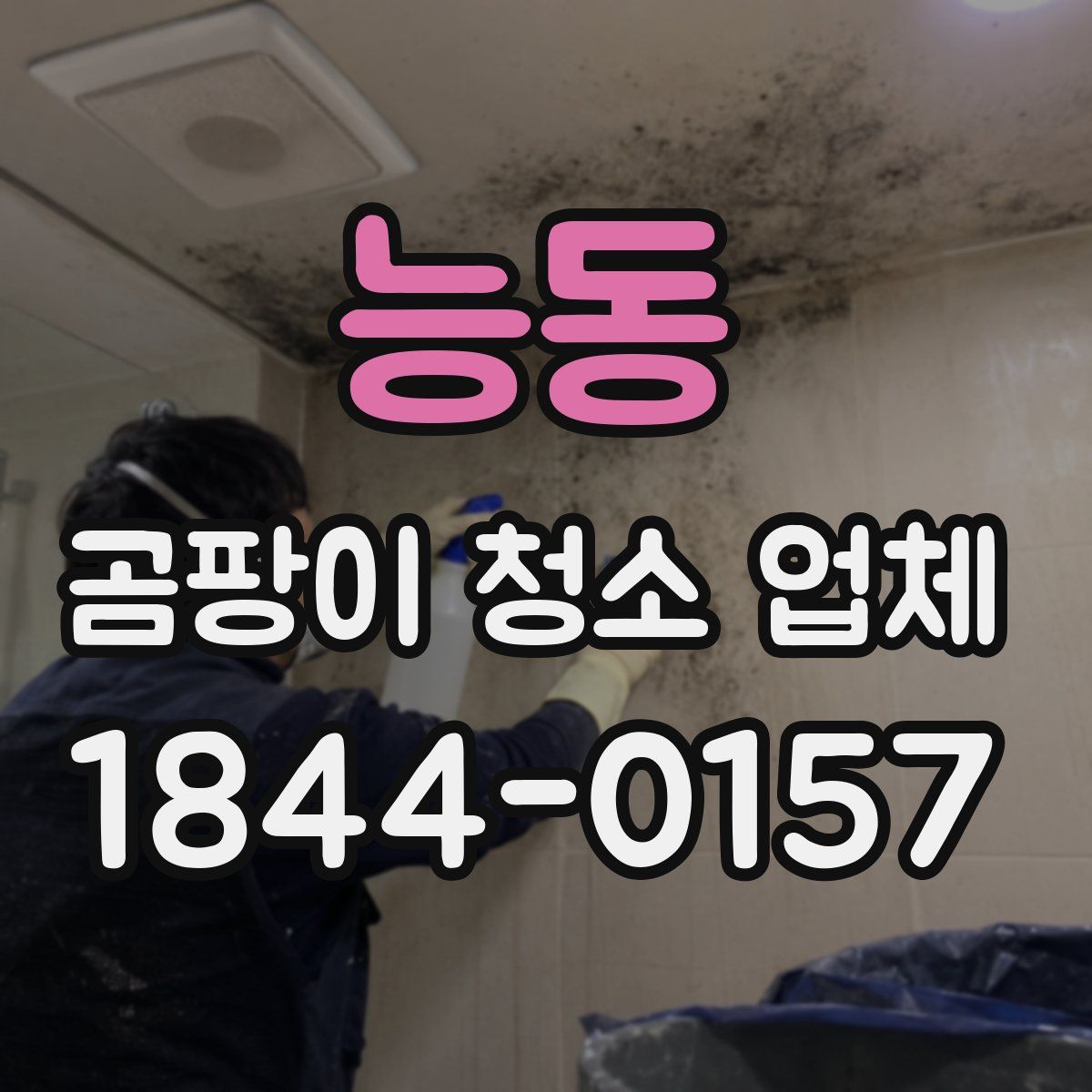 능동 곰팡이 청소 업체