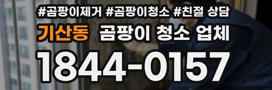 기산동 곰팡이 청소 업체