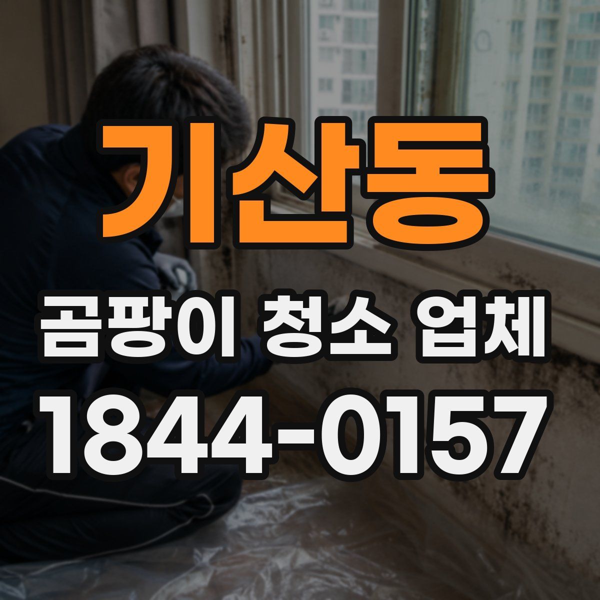 기산동 곰팡이 청소 업체