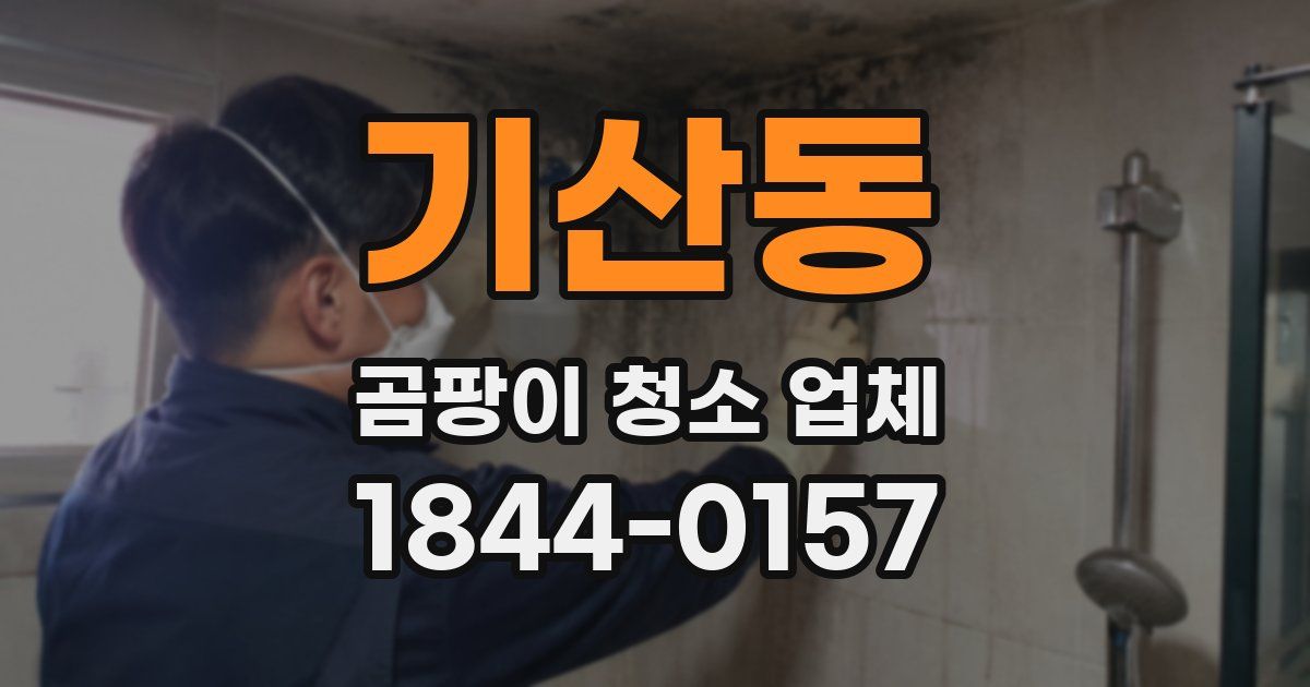 기산동 곰팡이 청소 업체