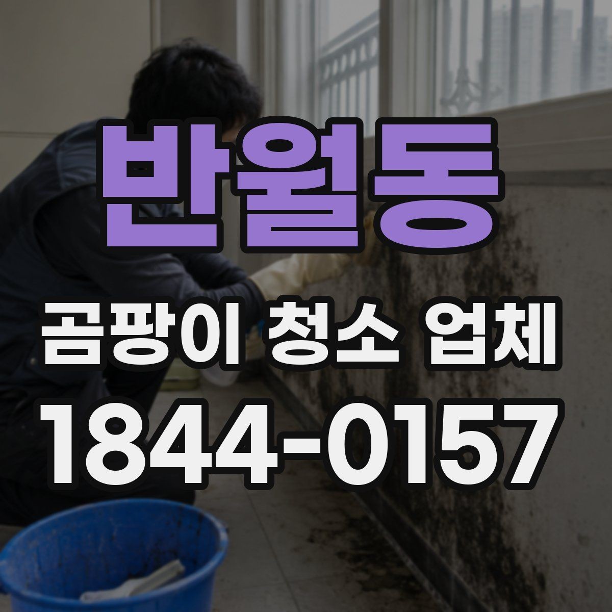 반월동 곰팡이 청소 업체 비교할 때 놓치기 쉬운 부분