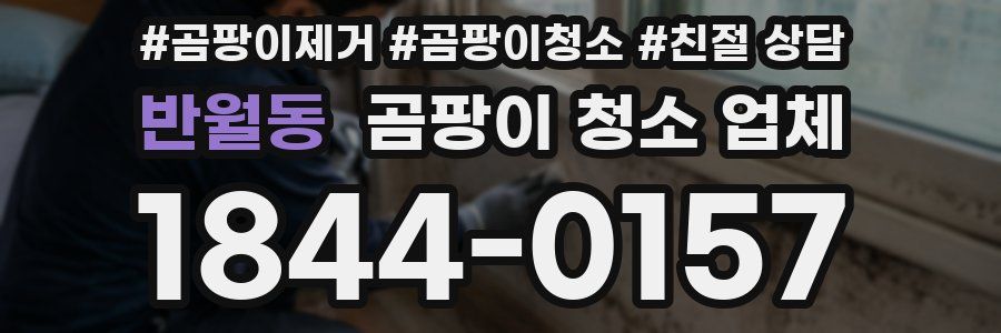반월동 곰팡이 청소 업체