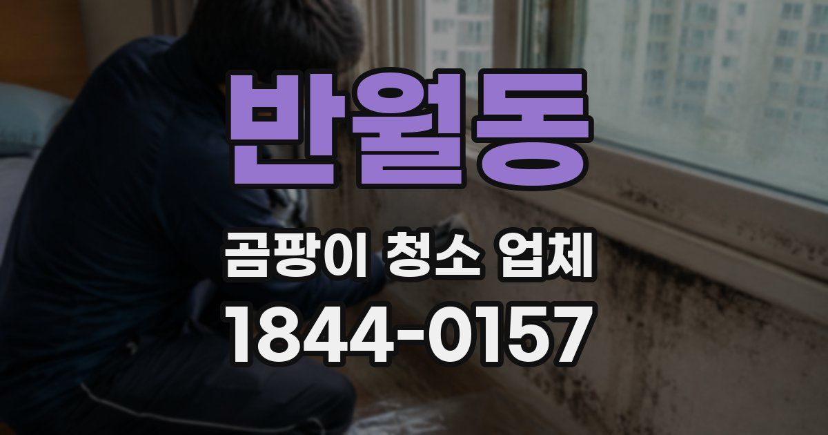 반월동 곰팡이 청소 업체
