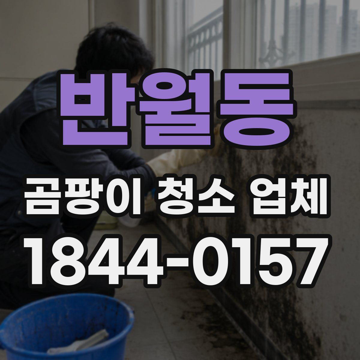 반월동 곰팡이 청소 업체