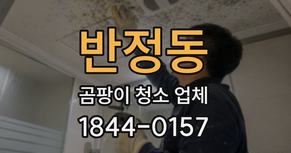 반정동 곰팡이 청소 업체