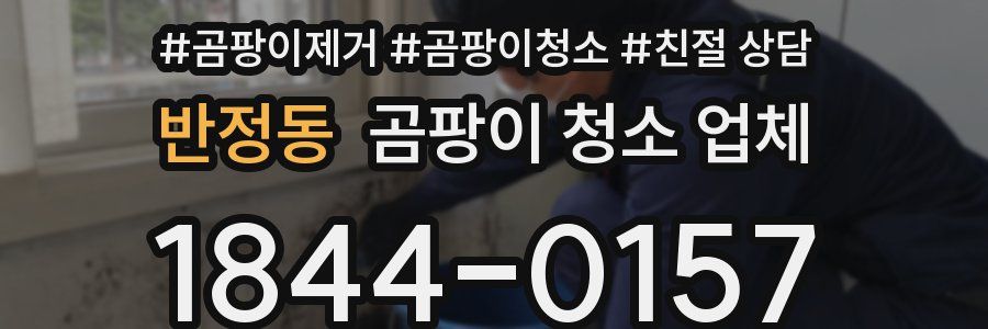 반정동 곰팡이 청소 업체