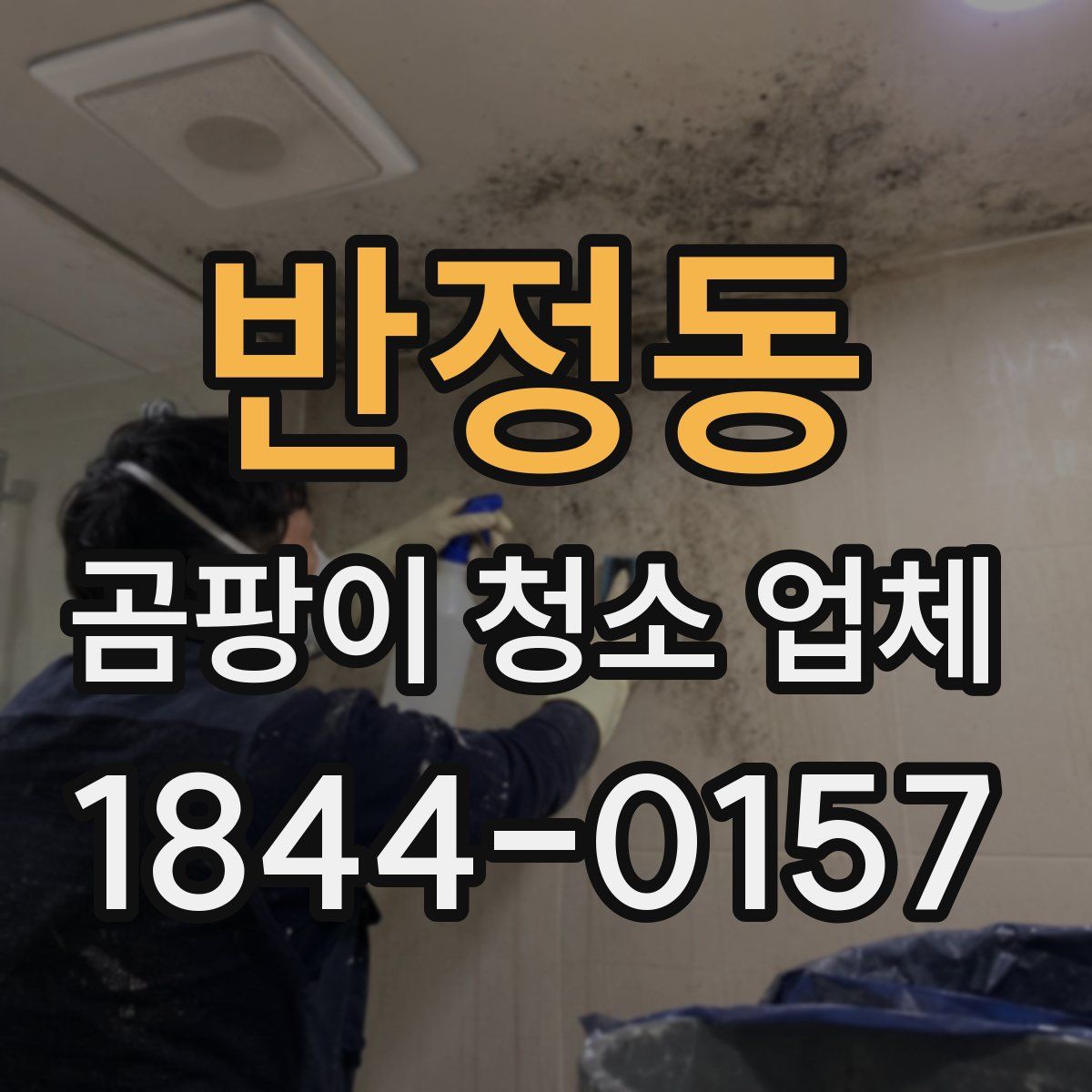 반정동 곰팡이 청소 업체