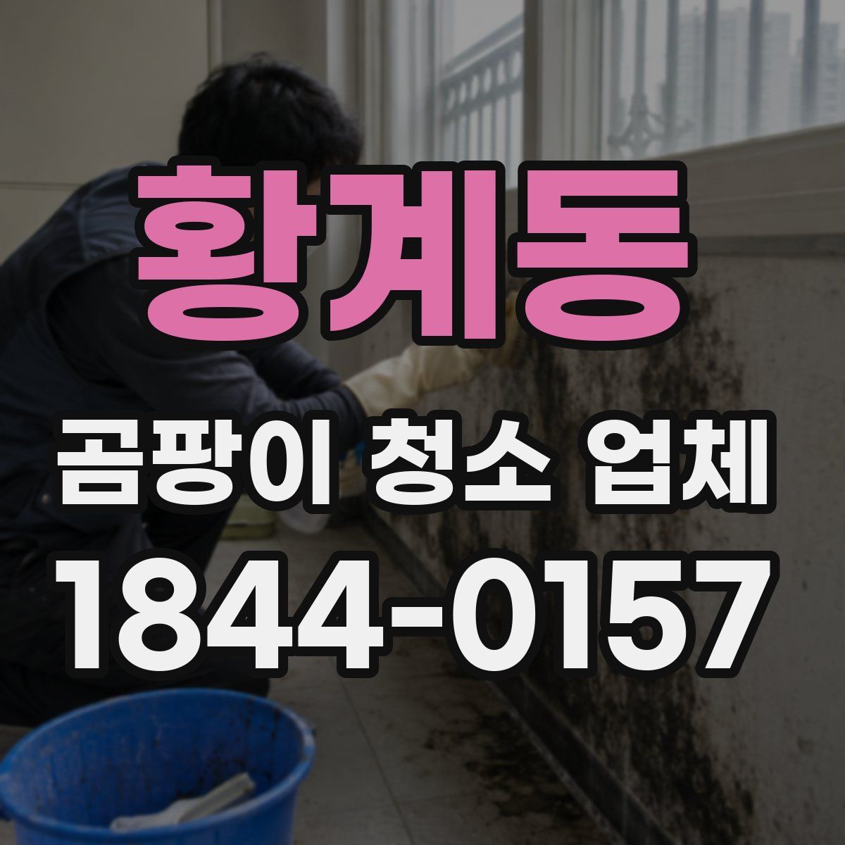 황계동 곰팡이 청소 업체