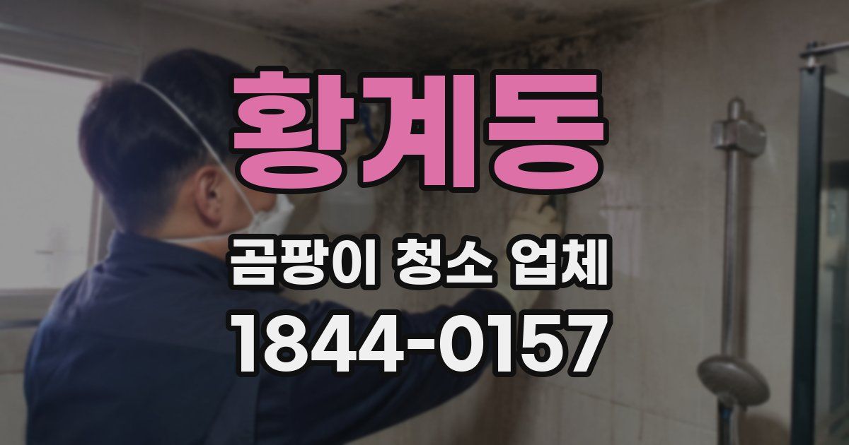 황계동 곰팡이 청소 업체