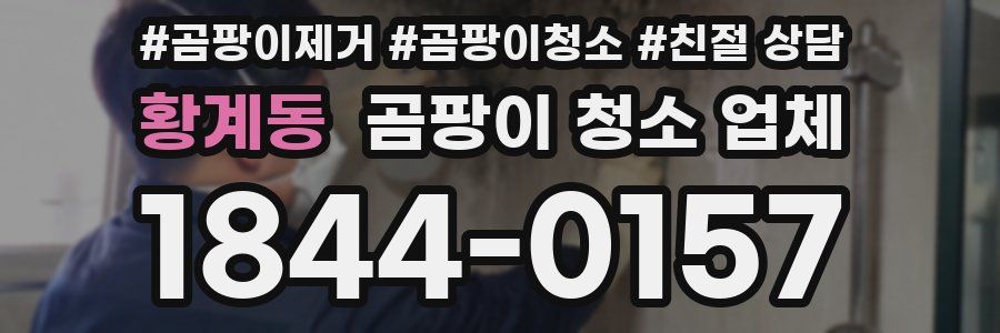황계동 곰팡이 청소 업체