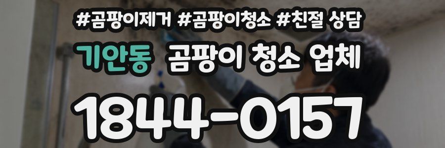기안동 곰팡이 청소 업체