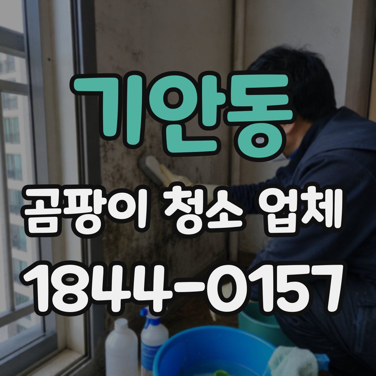 기안동 곰팡이 청소 업체