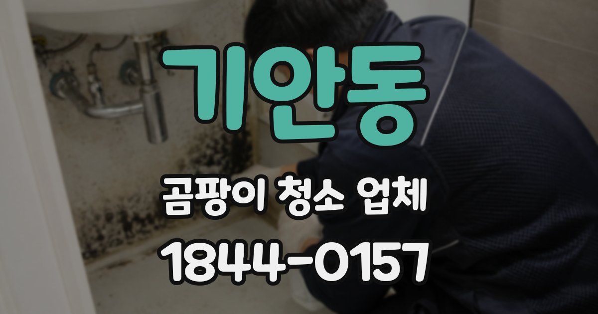 기안동 곰팡이 청소 업체