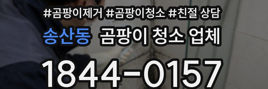 송산동 곰팡이 청소 업체