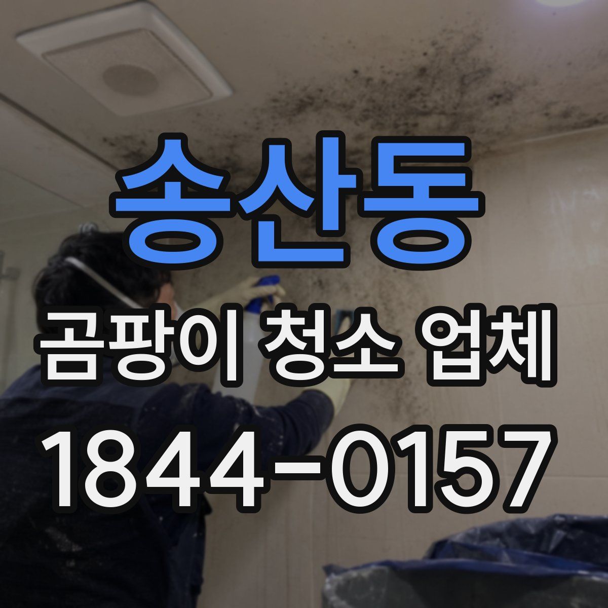 송산동 곰팡이 청소 업체
