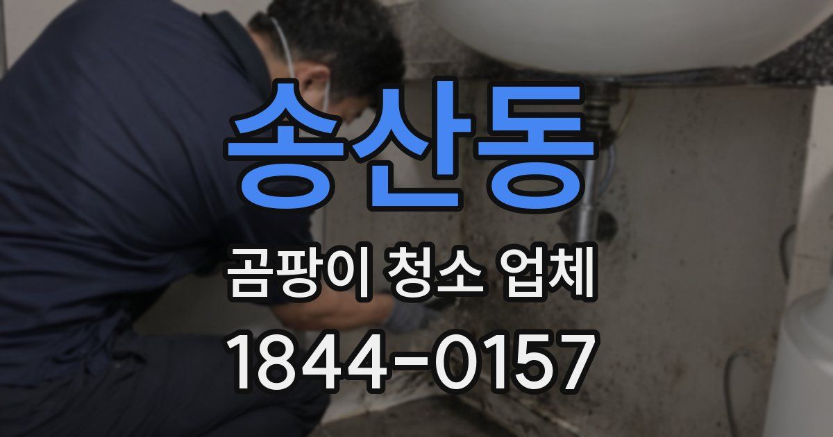 송산동 곰팡이 청소 업체