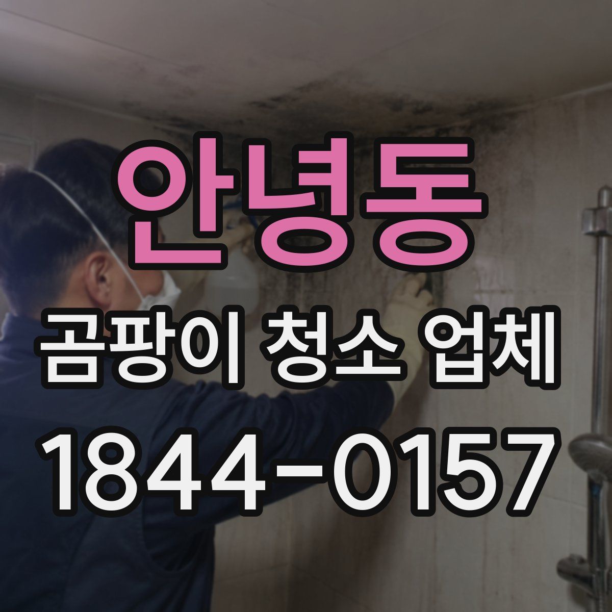 안녕동 곰팡이 청소 업체