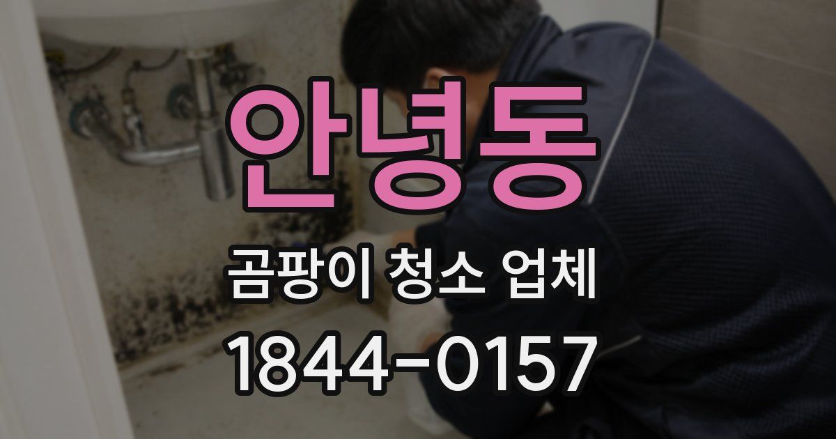안녕동 곰팡이 청소 업체