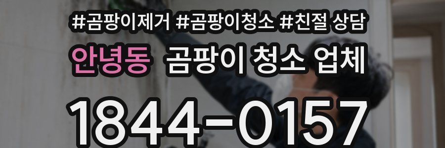 안녕동 곰팡이 청소 업체