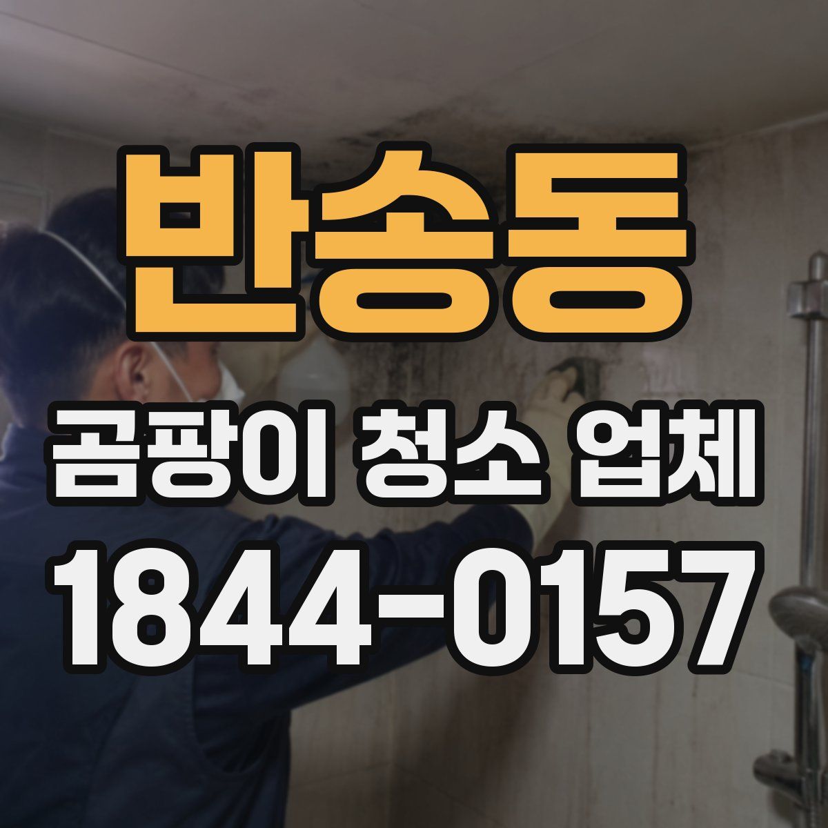 반송동 곰팡이 청소 업체