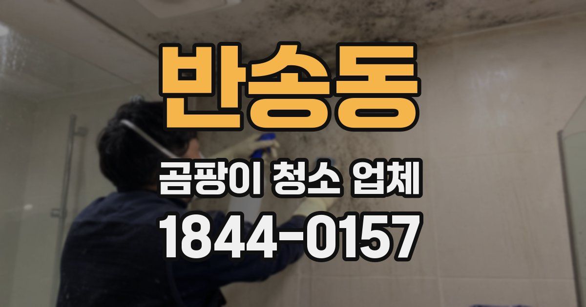 반송동 곰팡이 청소 업체