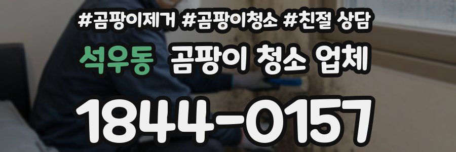 석우동 곰팡이 청소 업체