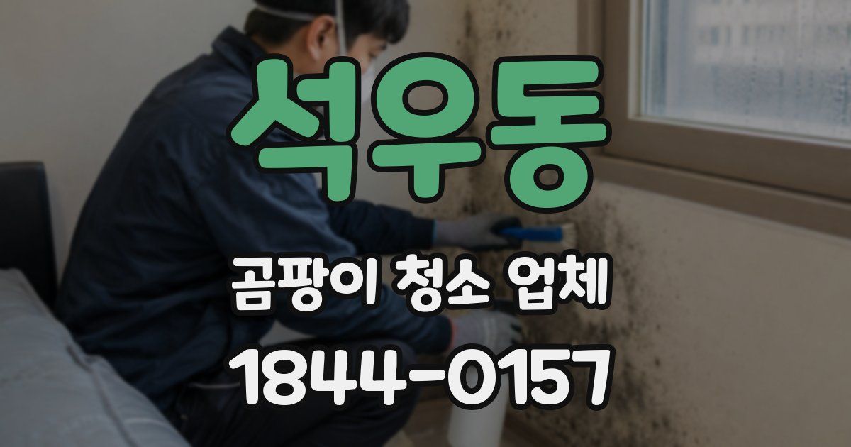 석우동 곰팡이 청소 업체