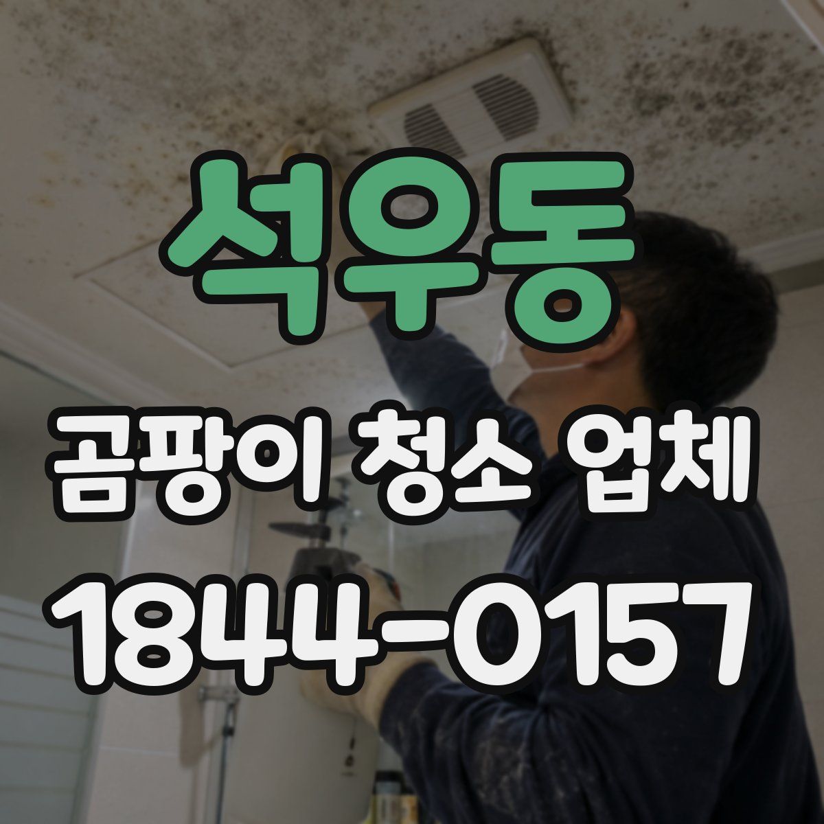 석우동 곰팡이 청소 업체