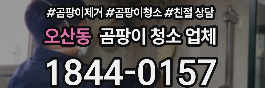오산동 곰팡이 청소 업체