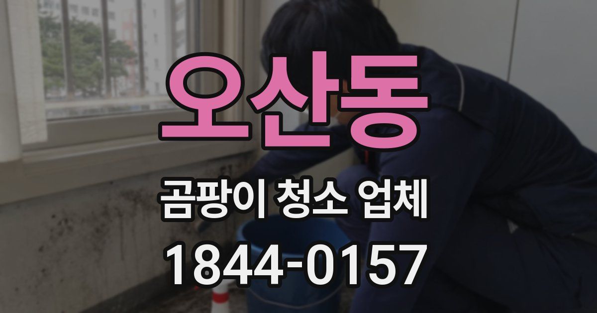 오산동 곰팡이 청소 업체