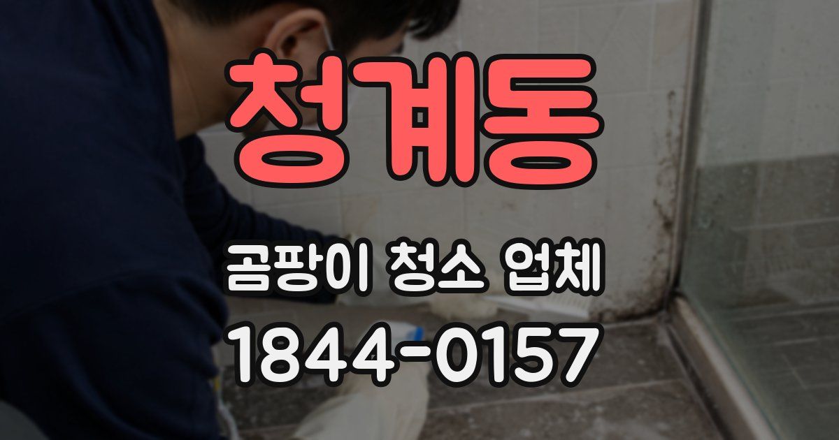 청계동 곰팡이 청소 업체