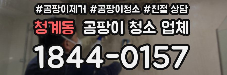 청계동 곰팡이 청소 업체