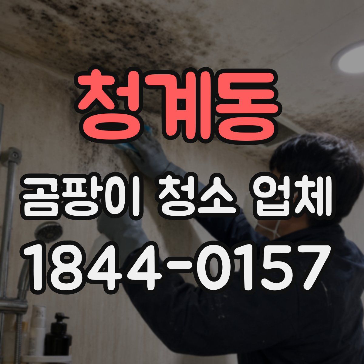 청계동 곰팡이 청소 업체
