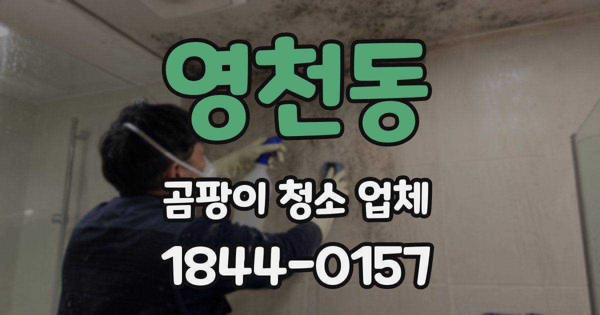영천동 곰팡이 청소 업체