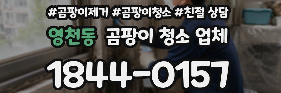 영천동 곰팡이 청소 업체