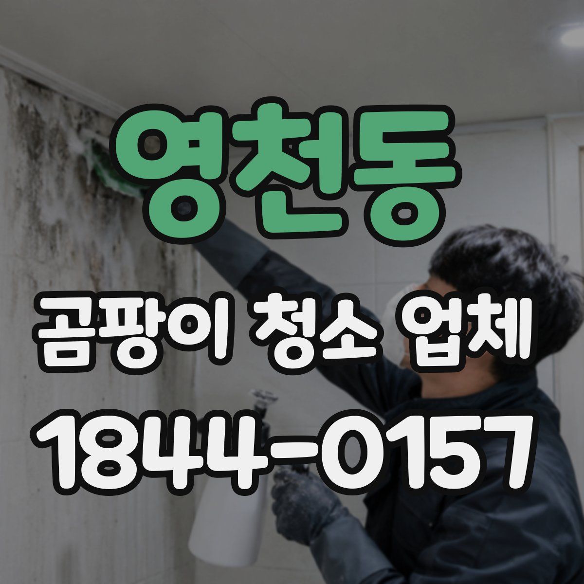 영천동 곰팡이 청소 업체