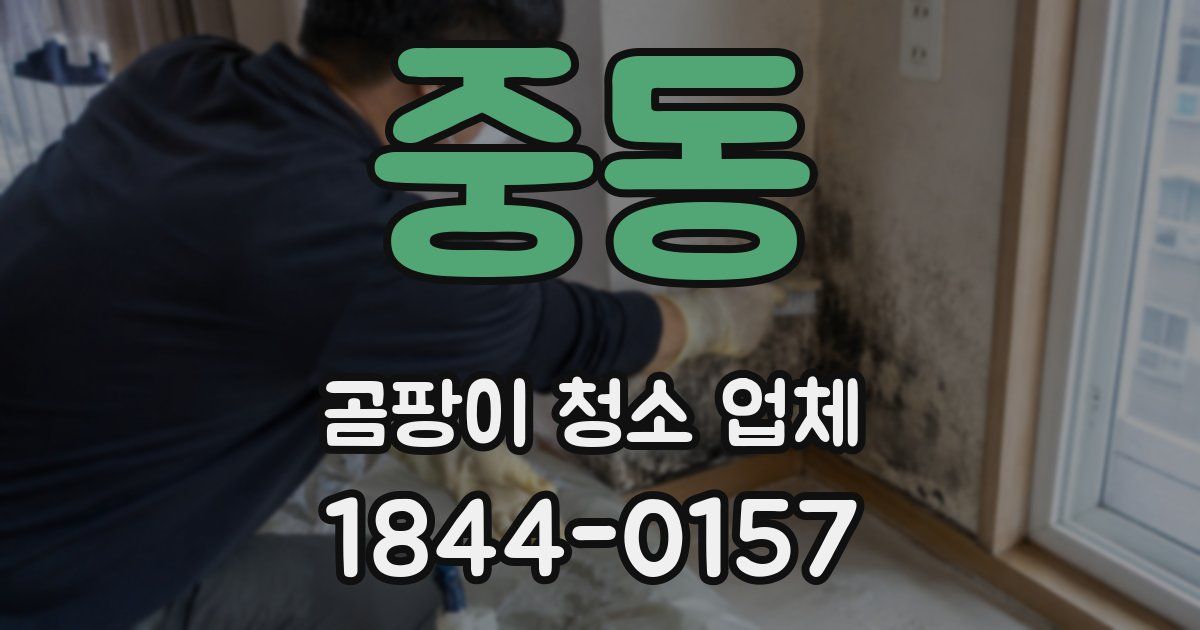 중동 곰팡이 청소 업체