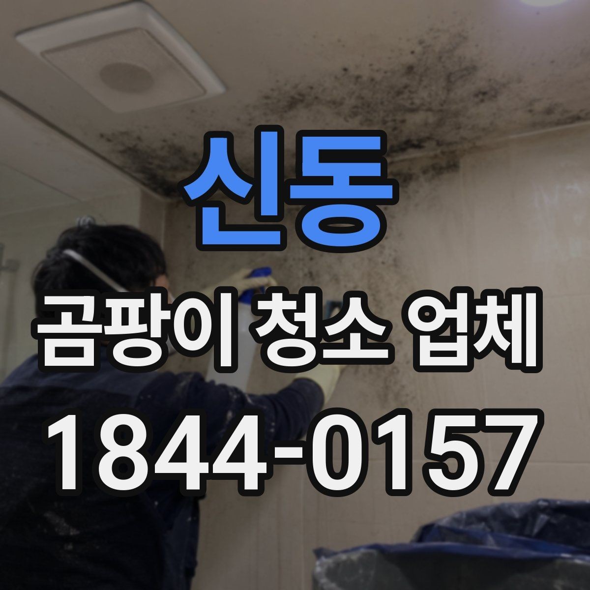 신동 곰팡이 청소 업체 서비스 신청 전 알아둘 일정