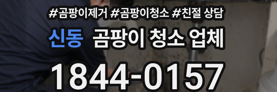 신동 곰팡이 청소 업체