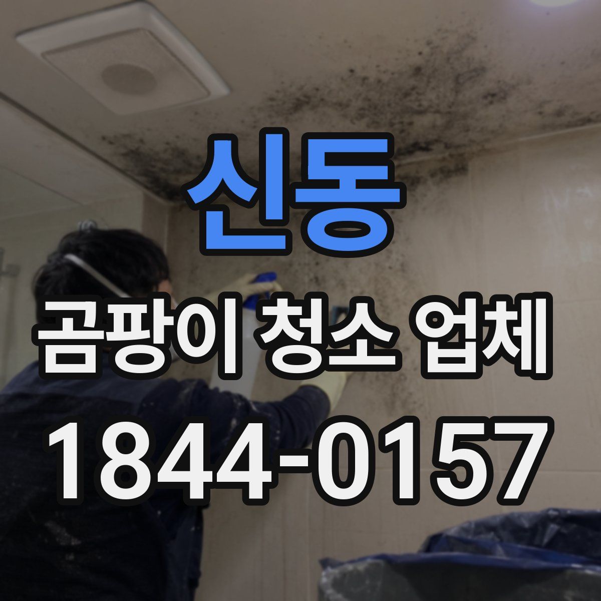 신동 곰팡이 청소 업체